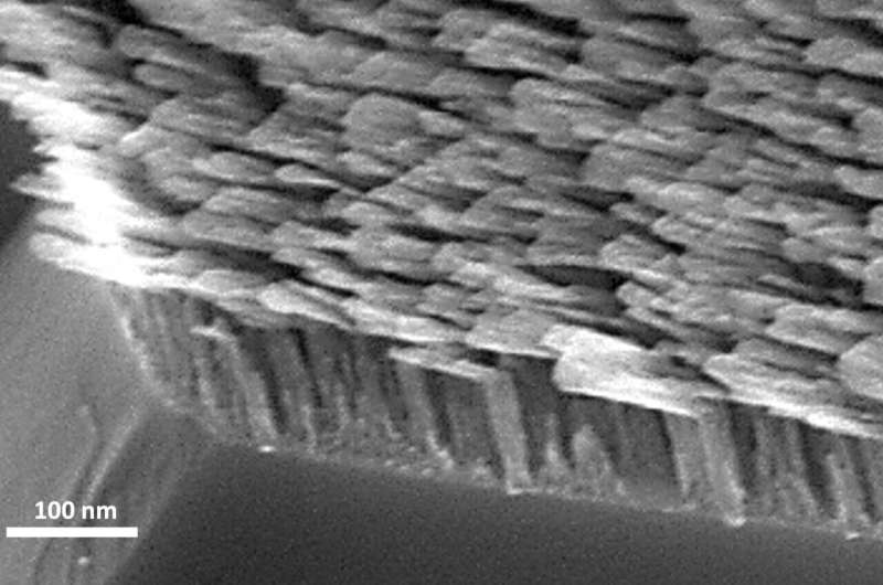 Shining light on molecules: L-shaped metamaterials can control the direction of light